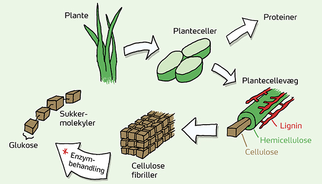 Bioøkonomi 2