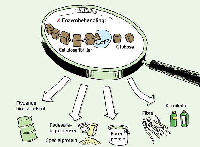 Bioøkonomi 3