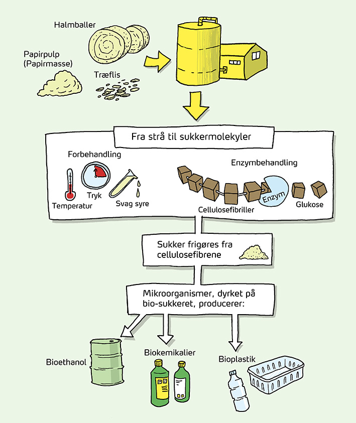 Bioøkonomi 4